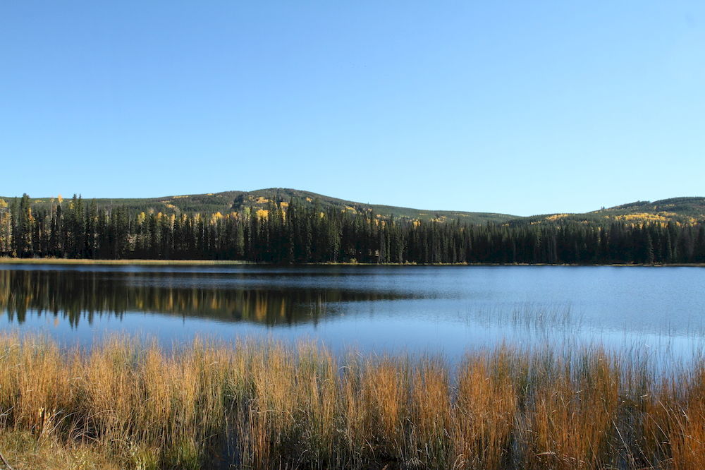 Lac Le Jeune Resort & Nature Centre Kamloops Eksteriør bilde
